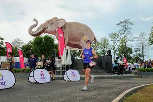 BIB: 
                            <button type="button" onclick="openModal(26528993)" class="btn btn-primary btn-sm float-right btn-popup" data-toggle="modal" data-target=".modal-high-quality">
                        <i class="fas fa-shopping-cart"></i> Add to Cart
                    </button>
                                            <button type="button" onclick="isThisMe(26528993, true)" class="btn btn-success btn-sm float-right btn-popup btn-isme hidden" data-toggle="tooltip" data-placement="bottom" title="นี่คือรูปของคุณใช่ไหม คลิกที่นี่เพื่อเอาเข้าอัลบั้ม">
                        <i class="fas fa-plus"></i> Add to album
                    </button>
                    <button type="button" onclick="isThisMe(26528993, false)" class="btn btn-warning btn-sm float-right btn-popup btn-isnotme hidden">
                        <i class="fas fa-ban"></i> Remove from album
                    </button>